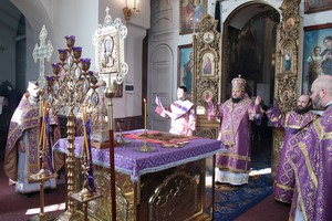 2J7A8144.jpg
