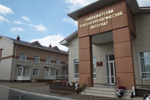 355.jpg