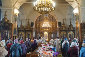 DSC01723.jpg