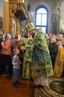 DSC09207.jpg