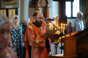 DSC02714.jpg