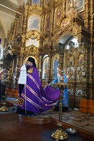 DSC04395.jpg