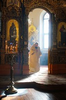 DSC08418.jpg