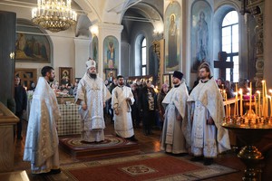 IMG_9295.jpg