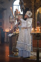 IMG_9311.jpg