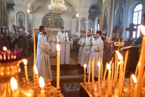 IMG_9329.jpg