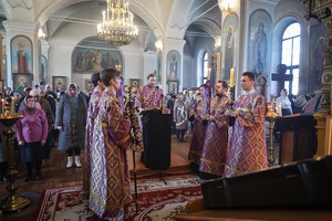 IMG_9595.jpg