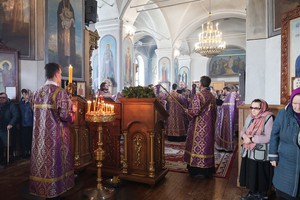 IMG_9660.jpg