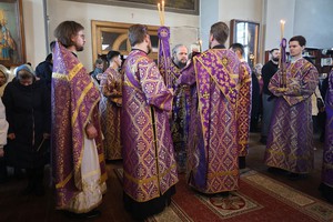 IMG_9526.jpg