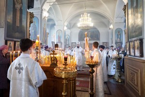 IMG_0206.jpg