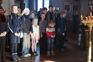 IMG_0542.jpg
