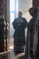 IMG_0734.jpg