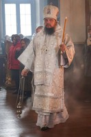 IMG_1156.jpg
