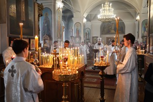 IMG_1131.jpg