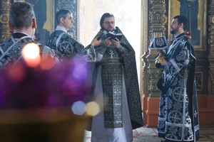 IMG_1558.jpg