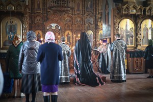 IMG_1651.jpg