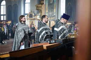 IMG_3623.jpg