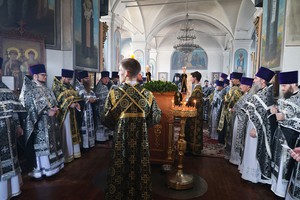 IMG_3689.jpg