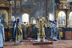 IMG_3600.jpg