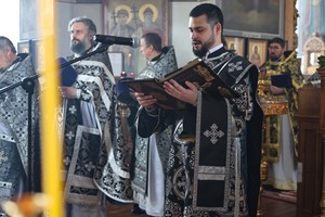 IMG_3642.jpg