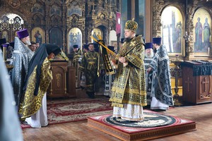 IMG_3557.jpg