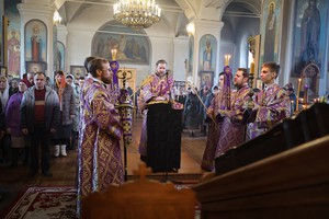IMG_2933.jpg
