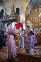IMG_2873.jpg
