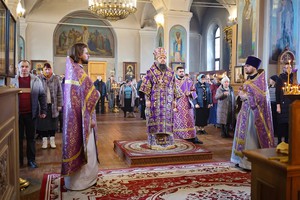 IMG_2877.jpg