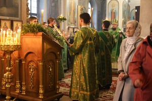 IMG_4100.jpg