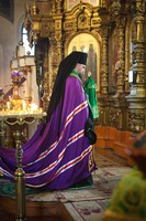 IMG_4067.jpg
