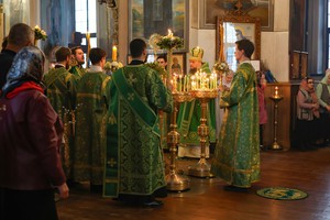 IMG_4084.jpg