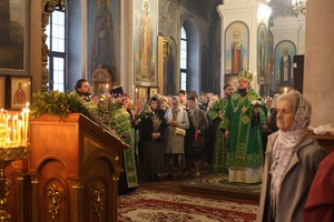 IMG_4116.jpg