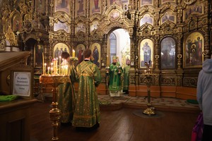 IMG_4242.jpg