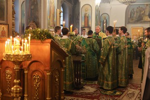 IMG_4135.jpg