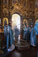 IMG_4627.jpg