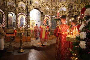IMG_6556.jpg
