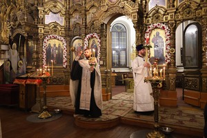 IMG_6338.jpg